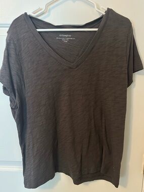 Erin gray Women's V-Neck Short Sleeve Top in Charcoal Pima cotton